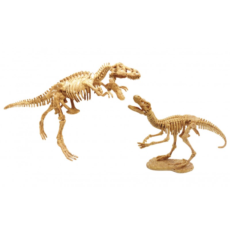 BUKI Dínó felfedező készlet Stegosaurus BUKI Dínó felfedező készlet Stegosaurus