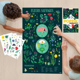 Poster Pédagogique Botanique fleurs sauvages - Poppik