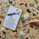 Cherche et trouve - Animaux menacés
