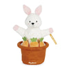 Marionnette Cache-cache - Lapin Robin