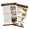 Dino Museum - Buki