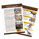 Dino Museum - Buki