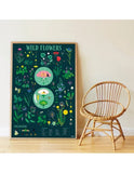 Poster Pédagogique Botanique fleurs sauvages - Poppik