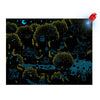 Puzzle magique - La forêt 24 pcs